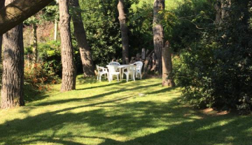 WhatsApp Image 2025-07-22 at 18.15.28 1.jpeg